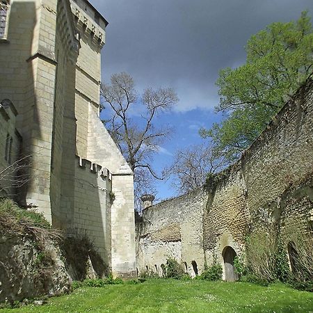 Chateau De Ternay Ternay  Exterior photo