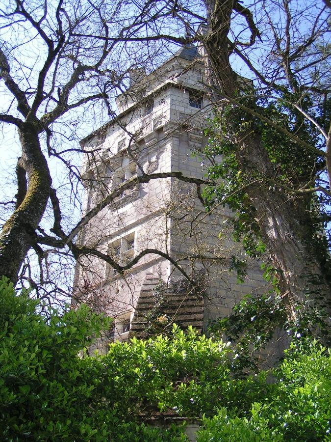 Chateau De Ternay Ternay  Exterior photo