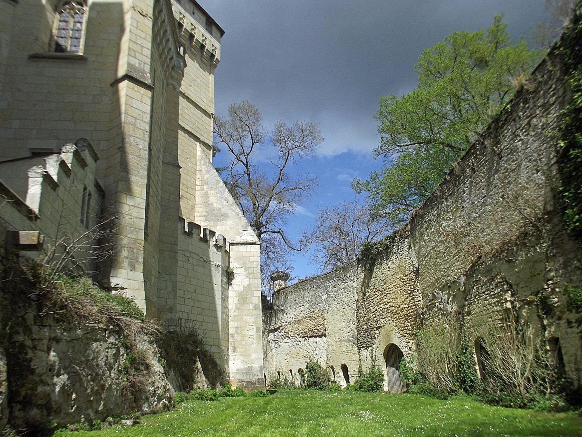 Chateau De Ternay Ternay  Exterior photo