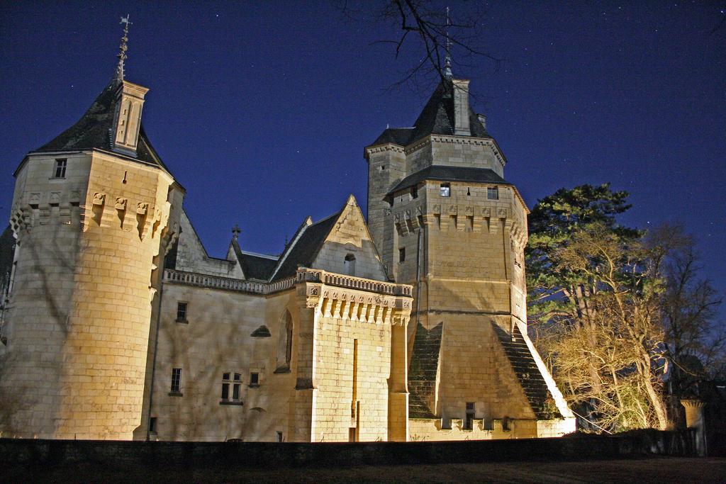 Chateau De Ternay Ternay  Exterior photo
