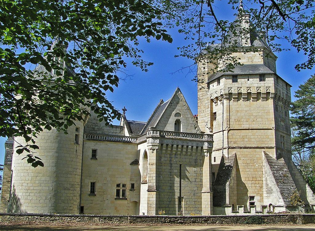 Chateau De Ternay Ternay  Exterior photo