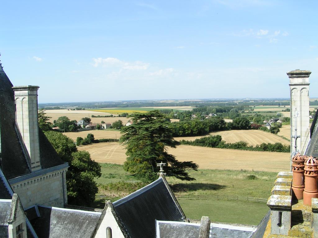 Chateau De Ternay Ternay  Exterior photo