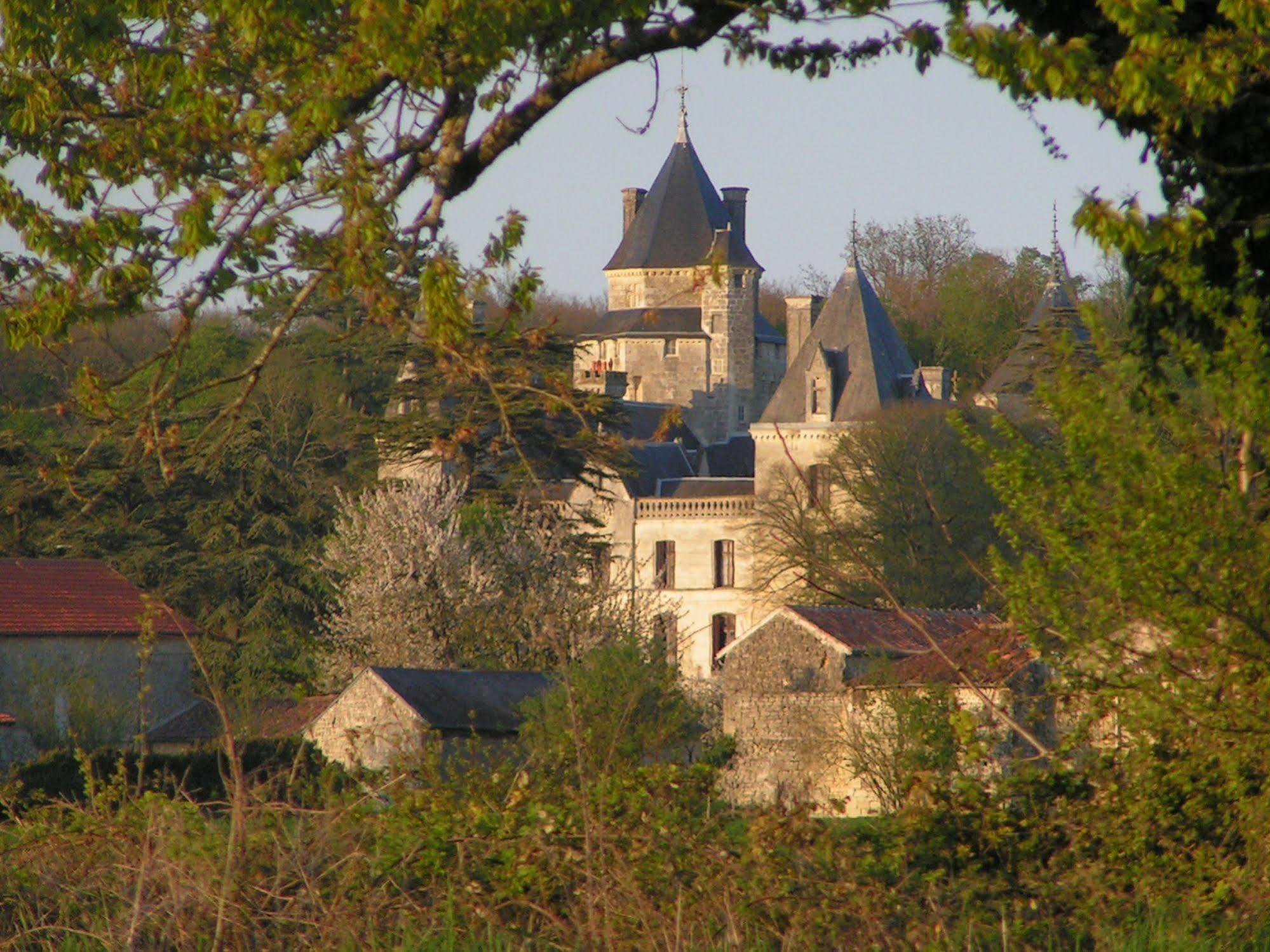 Chateau De Ternay Ternay  Exterior photo