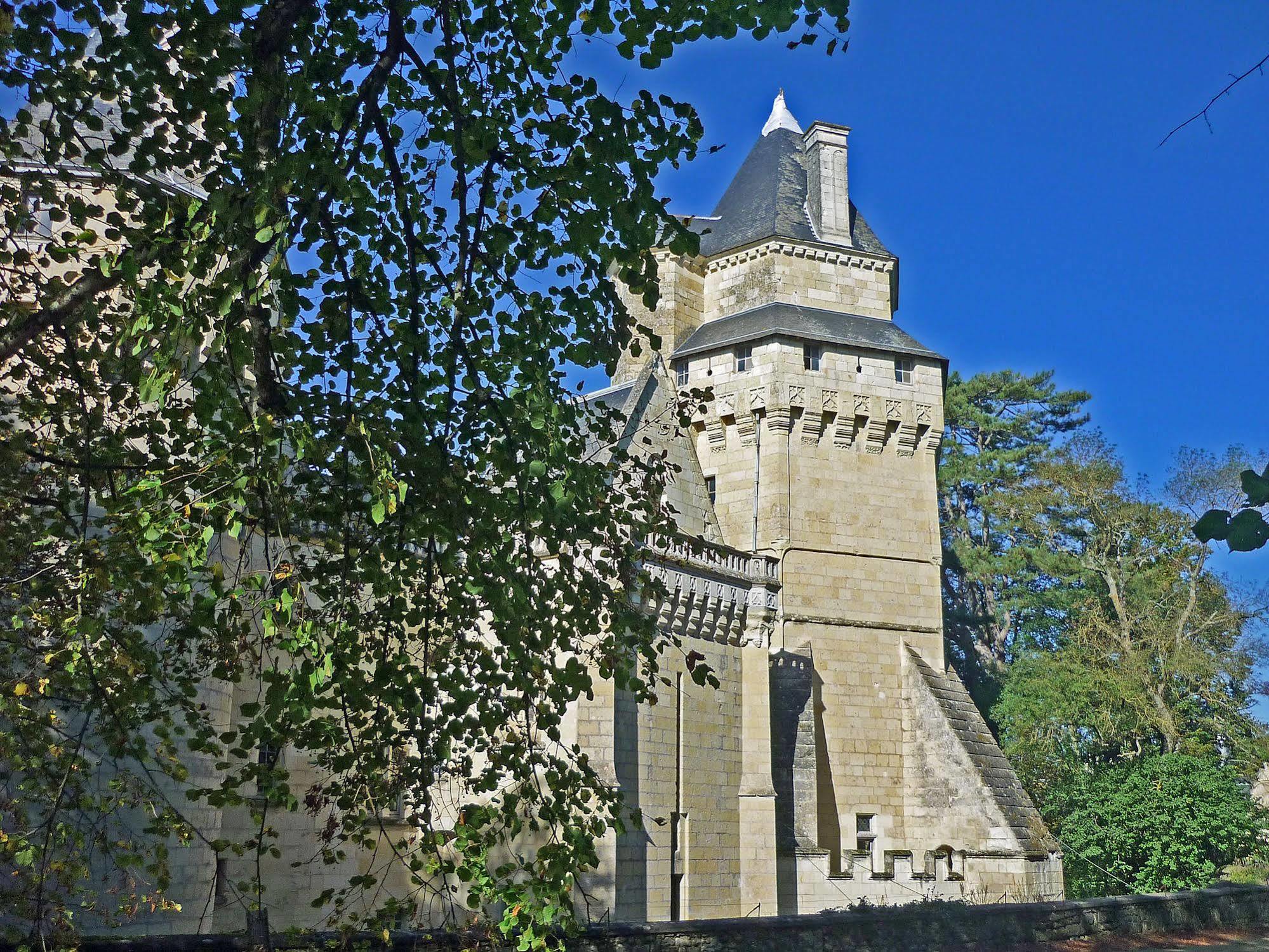 Chateau De Ternay Ternay  Exterior photo