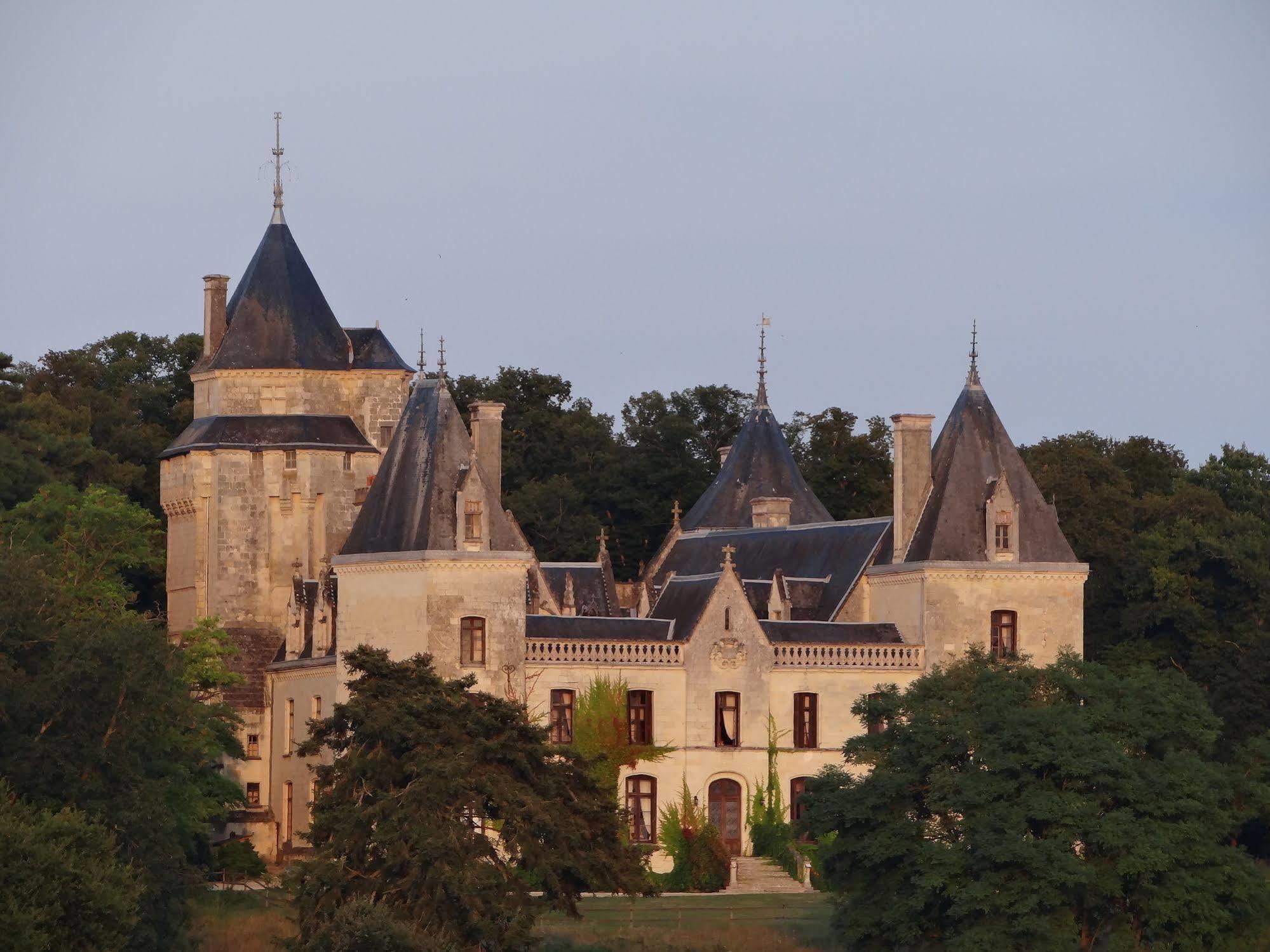Chateau De Ternay Ternay  Exterior photo