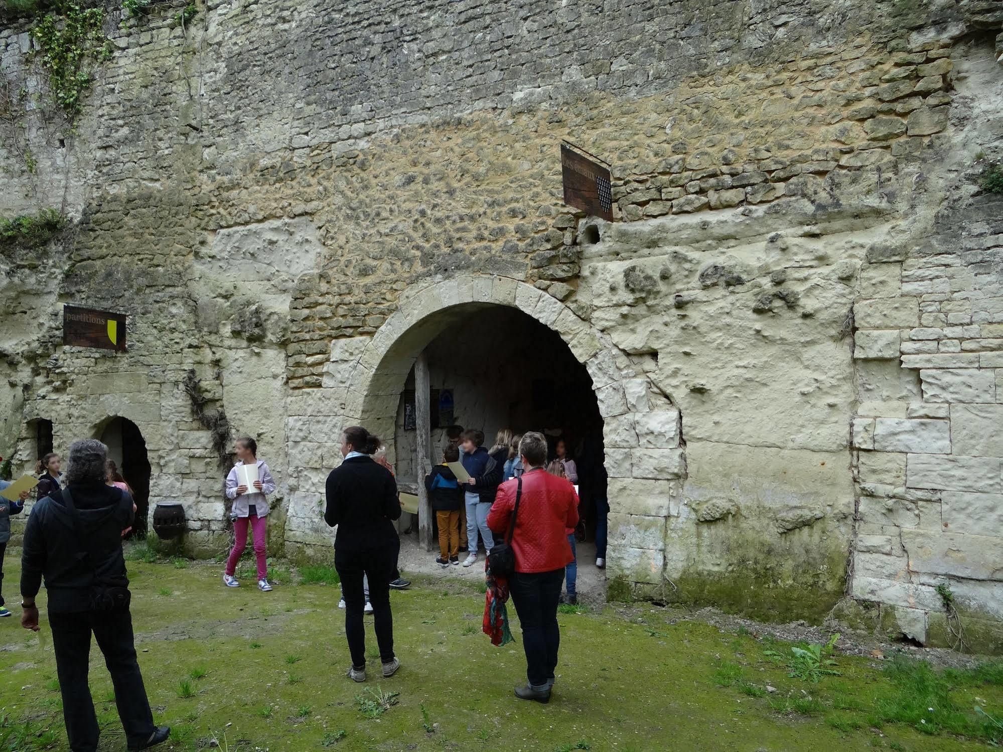 Chateau De Ternay Ternay  Exterior photo